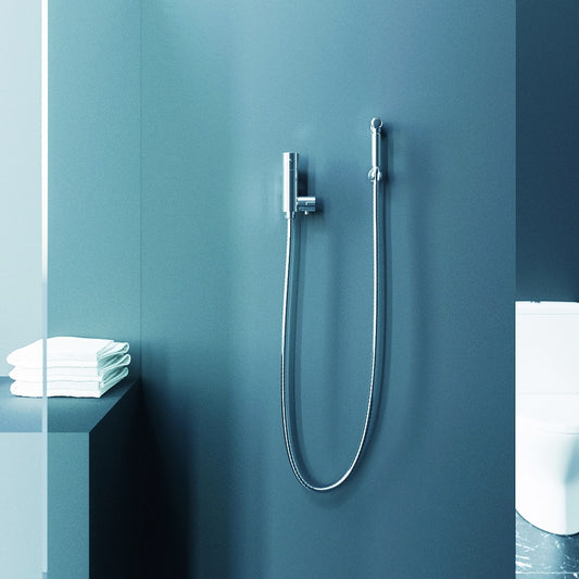 Kit de Pulverizador de Bidé de Mano, Ducha termostática en Cromo de acero inoxidable, Rociador de Bidet para Mascota, Inodoro, Sartén en Cuclilla